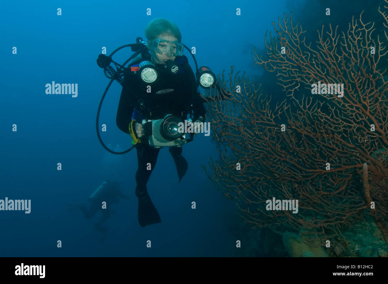 Fotografo femmina e mare di acque profonde ventilatore su una barriera corallina di Roatan Honduras Foto Stock