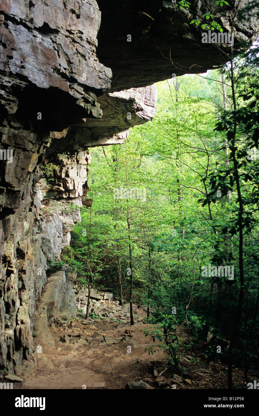 Cliffside trail, Sud stato Cumberland Park, Tennessee Foto Stock