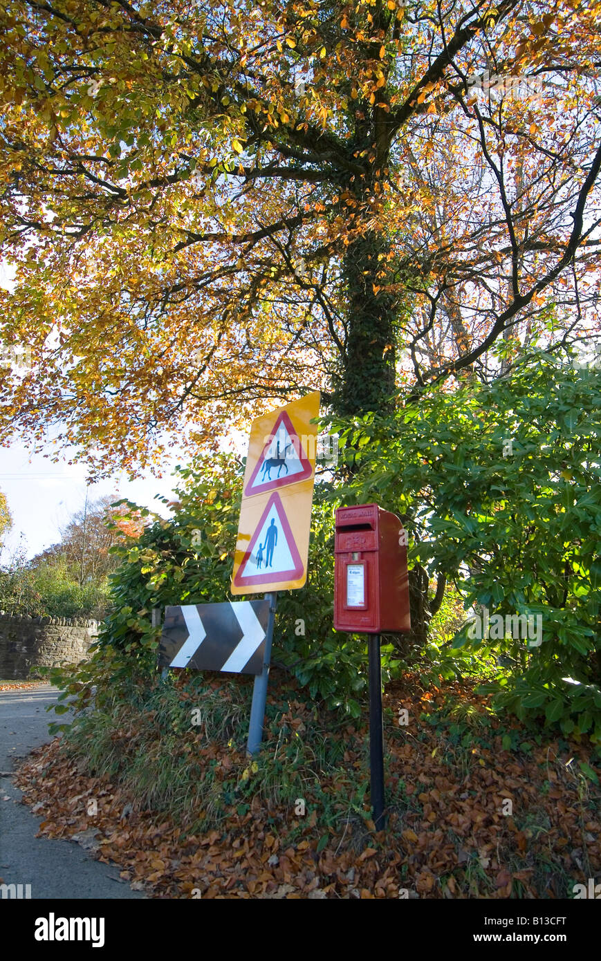 Segnaletica stradale rurale e una casella postale villaggio, Ermington, South Devon. REGNO UNITO Foto Stock