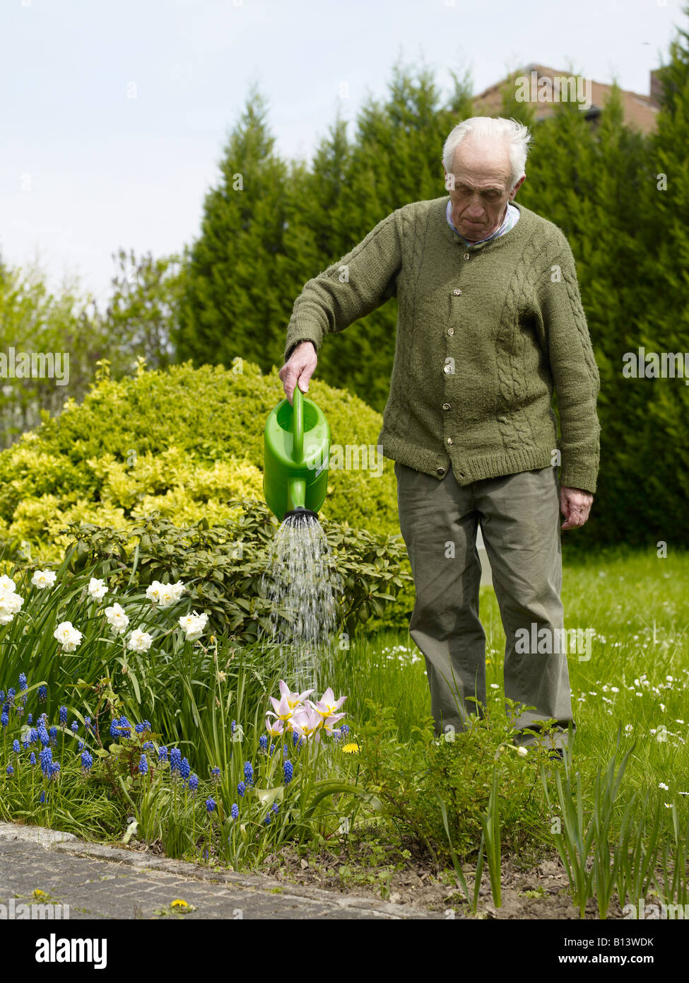 Il vecchio uomo abbeveraggio i fiori nel suo giardino Foto Stock