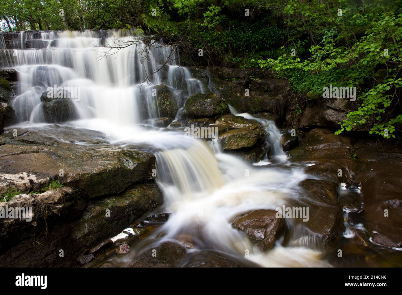 Oriente Gill forza Swaledale superiore Yorkshire Dales National Park North Yorkshire Foto Stock