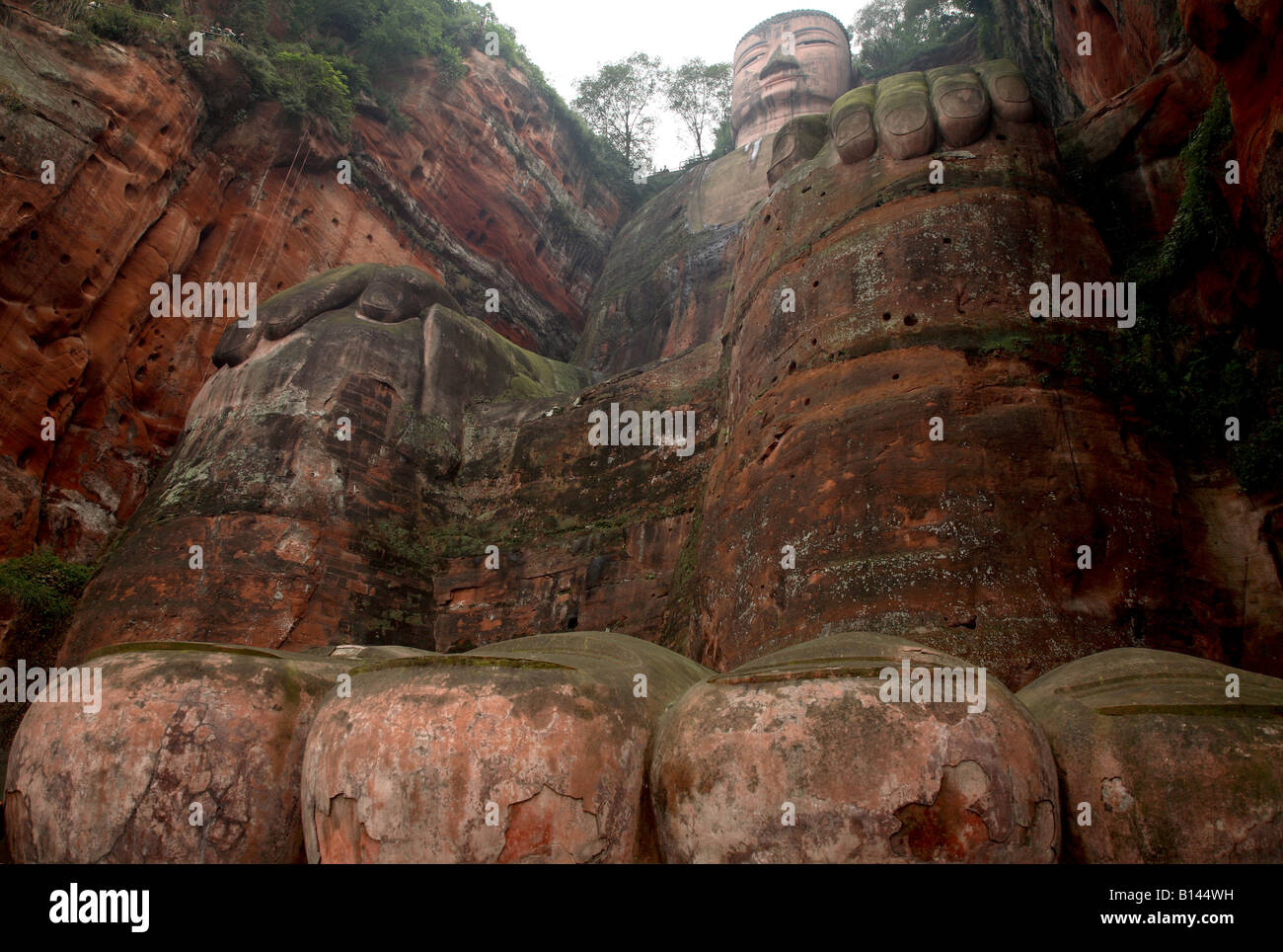 Il Buddha gigante di Leshan, Cina Foto Stock