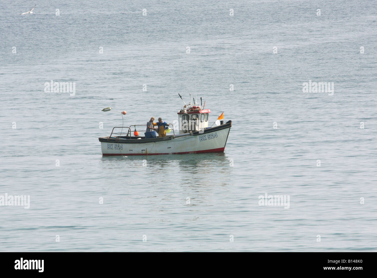 Coverack Cornwall Inghilterra GB UK 2008 Foto Stock