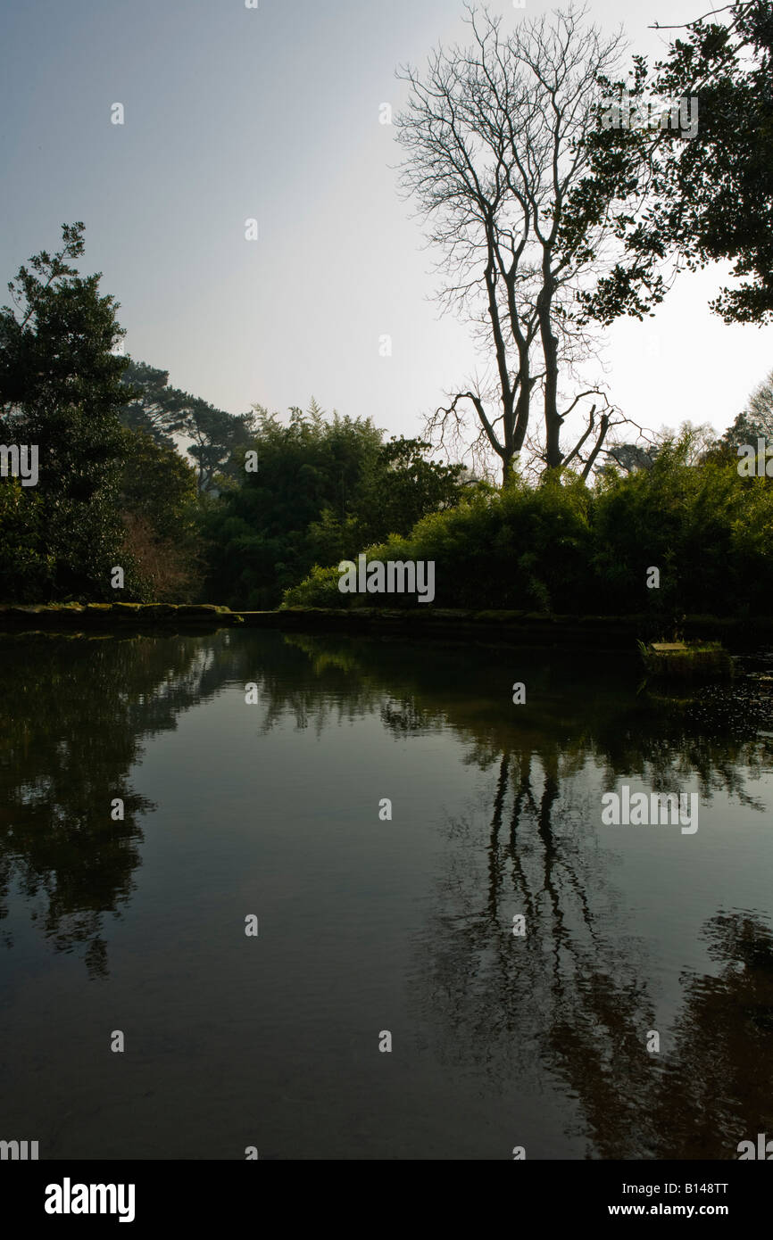 Coleton Fishacre, Devon, Regno Unito primavera nella valle riparato giardino nel Devon. Foto Stock