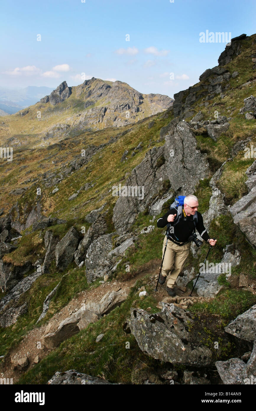 Hillwalker sul percorso su Beinn Narnain con Ben Arthur in background Foto Stock