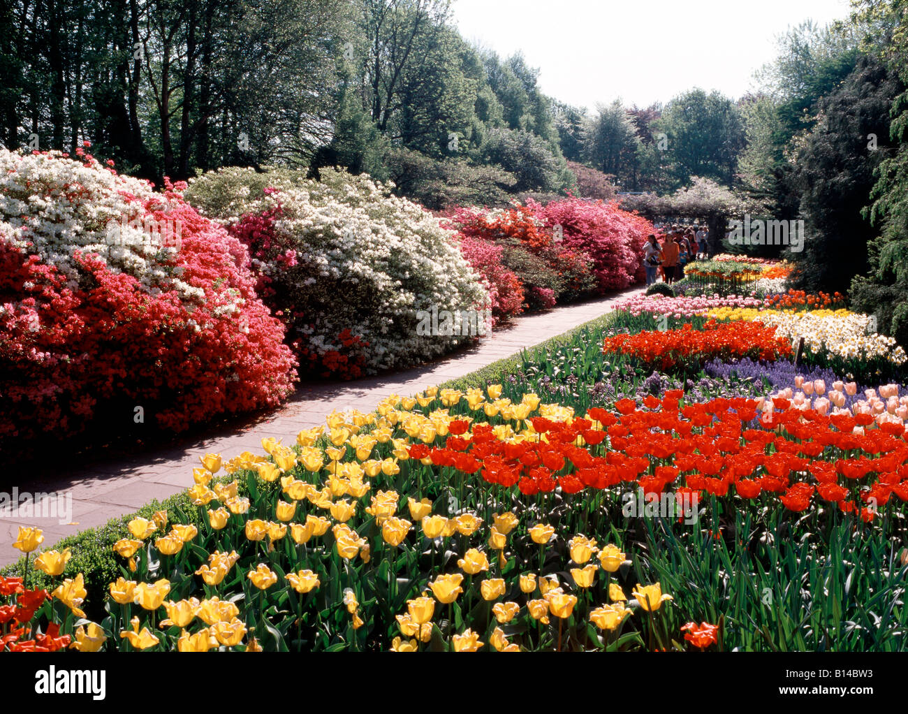 Blumenpark keukenhof immagini e fotografie stock ad alta risoluzione