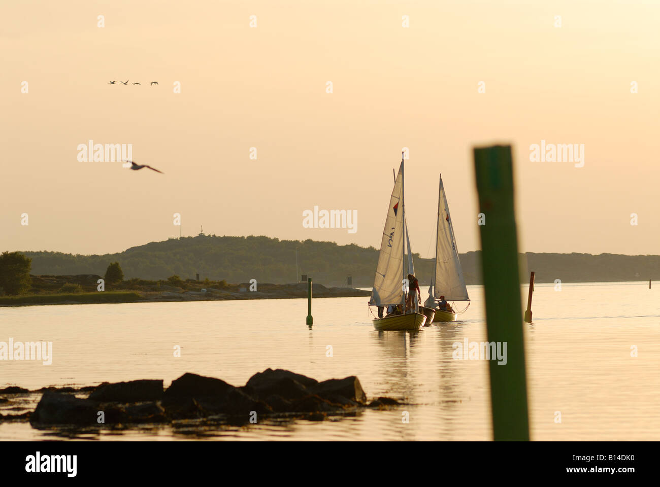 Barche a vela al tramonto, Svezia, west coast Foto Stock