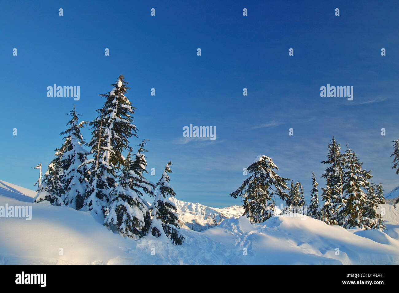 Mt. Baker Area sciistica nel North Cascades dello Stato di Washington Foto Stock