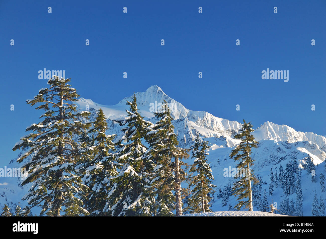 Mt. Baker Area sciistica nel North Cascades dello Stato di Washington Foto Stock