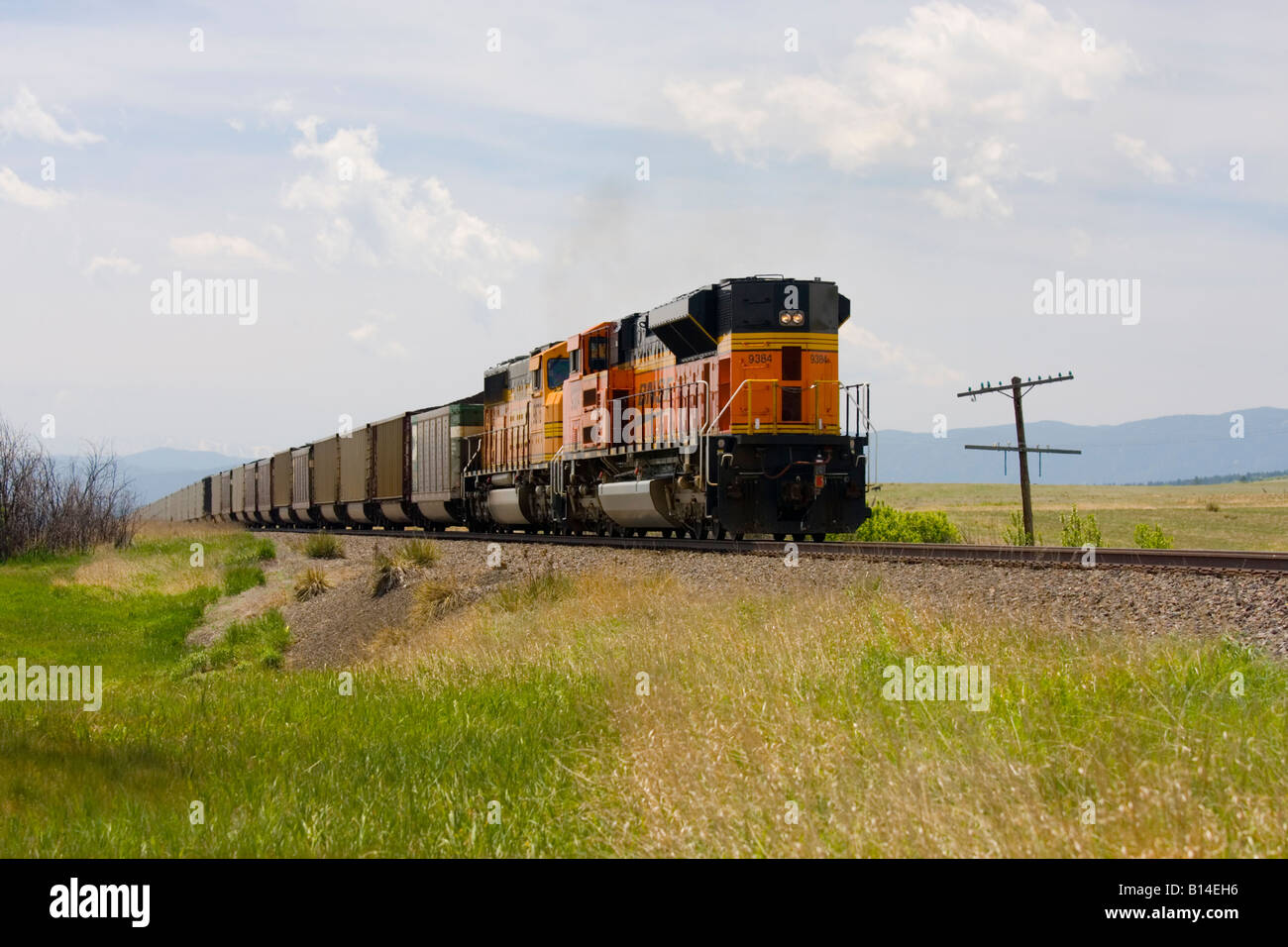 BNSF treno sulla Santa Fe Railway Foto Stock