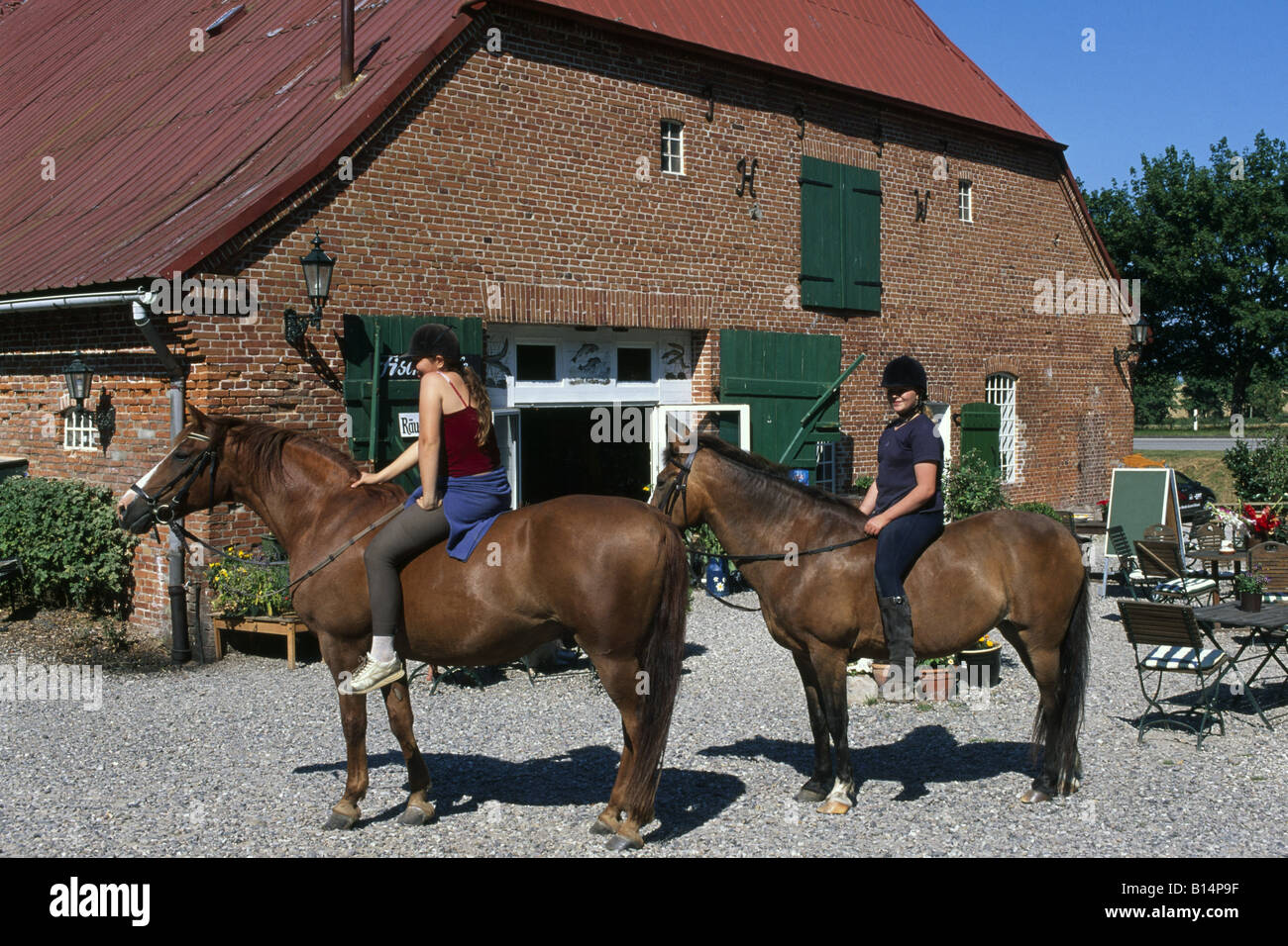 Equitazione in Gut Goertz Oldenburg Schleswig Holstein Germania Foto Stock