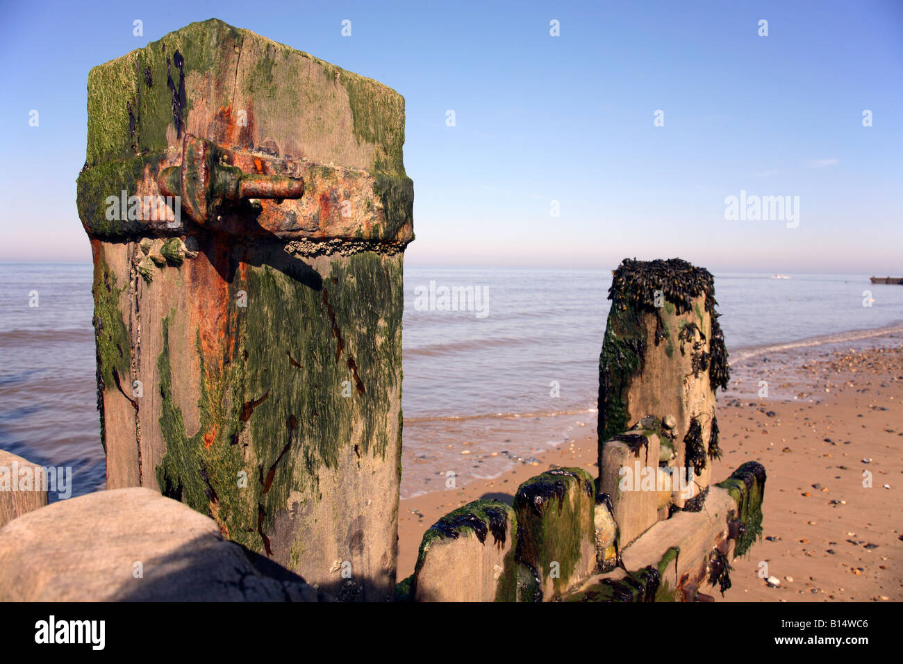 Vecchia spiaggia groyne. Foto Stock Vecchia spiaggia groyne. Foto Stock