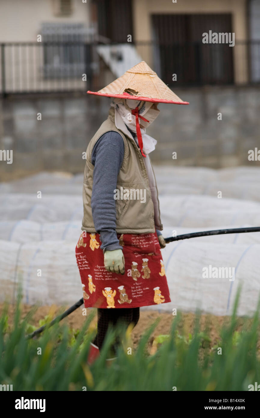 Kyoto in Giappone un agricoltore irriga i Suoi raccolti su un piccolo riparto suburbane, indossando un tradizionale cappello di paglia, maschera di cotone e guanti Foto Stock