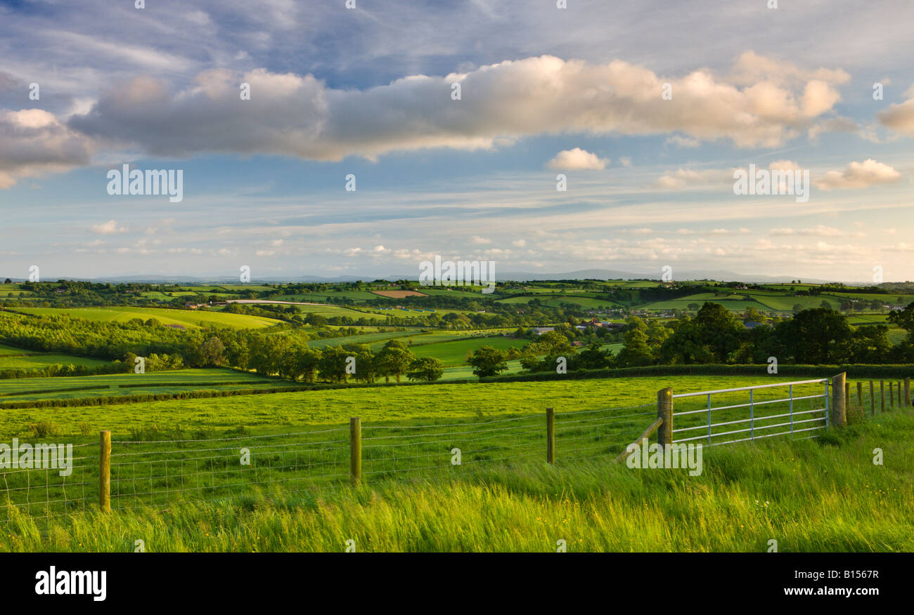 Il rotolamento dei terreni agricoli del Mid Devon England Foto Stock