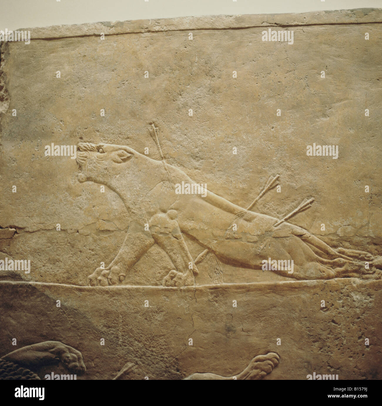 Belle arti, mondo antico, Assiri, lion hunt, morendo lion, alabastro, Ninive, palazzo del re Ashurbanipal (regnò 668 - 626 BC), British Museum di Londra, , artista del diritto d'autore non deve essere cancellata Foto Stock