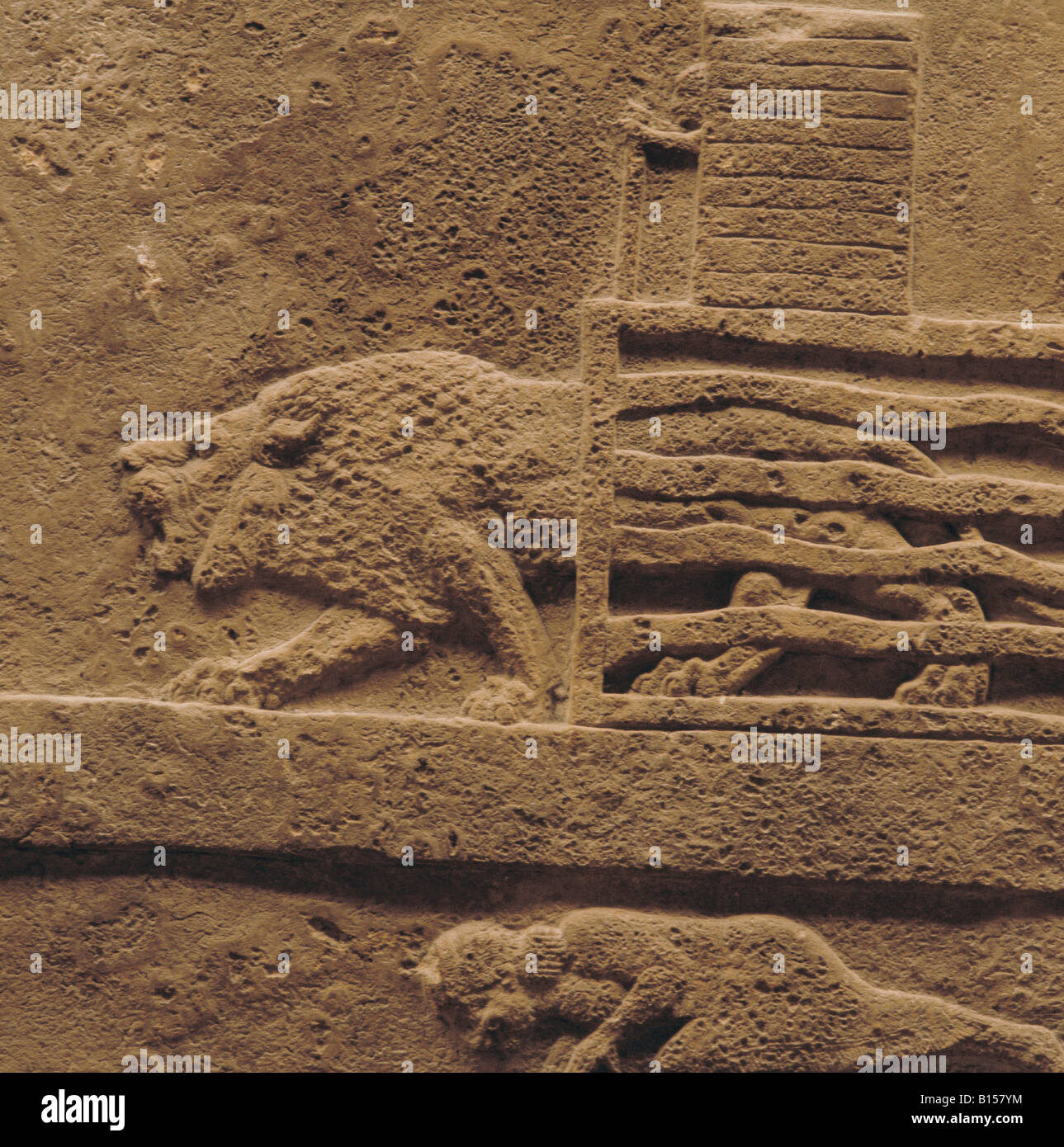 Belle arti, mondo antico, Assiri, lion hunt, lion comming out di una gabbia, alabastro, Ninive, palazzo del re Ashurbanipal (regnò 668 - 626 BC), British Museum di Londra, , artista del diritto d'autore non deve essere cancellata Foto Stock