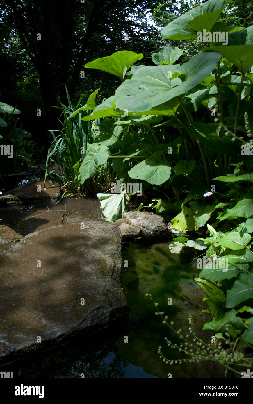 Hampton Court Gardens, Herefordshire Foto Stock