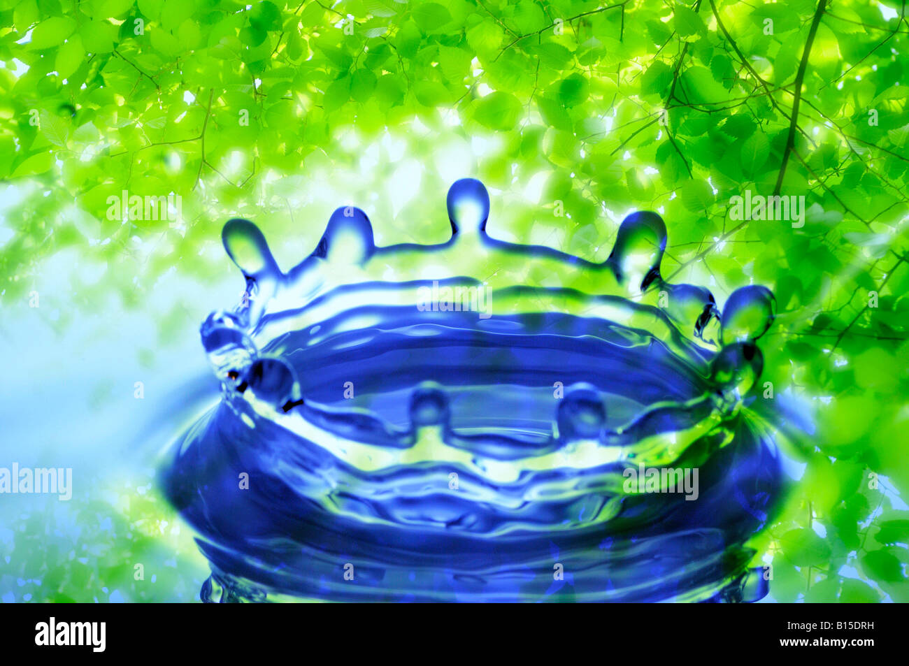 Corona Foto Stock