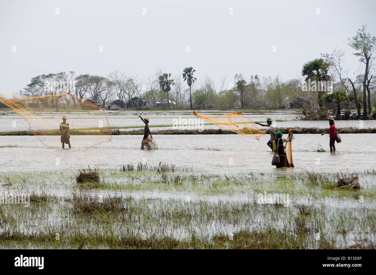 I pescatori gettano le loro reti nella zona di divisione di delta di Ayeyarwaddy in Myanmar Foto Stock