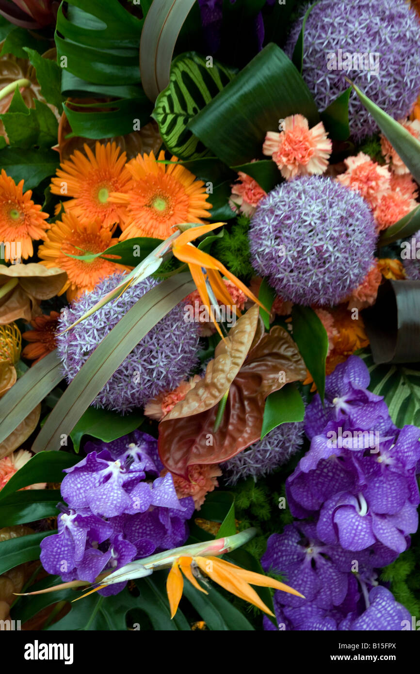 Una piacevole miscela di fiori e foglie. esotico floreale Foto Stock