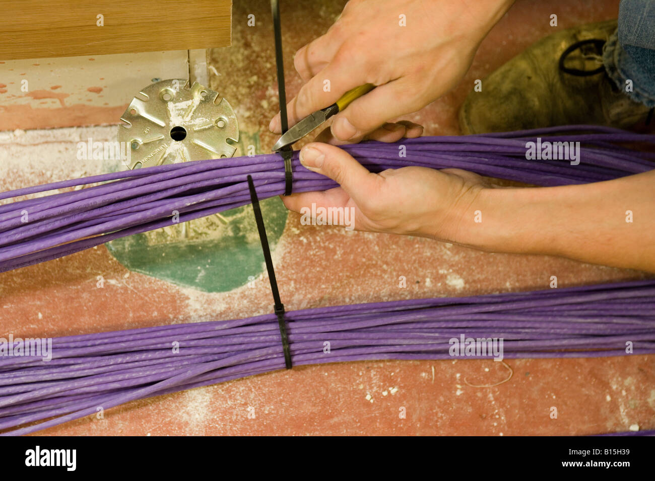 Rifilatura fascette su un grappolo di viola i cavi di trasmissione dati, essendo posta al di sotto di un pavimento sopraelevato in un costruito di recente costruzione di ufficio. Foto Stock