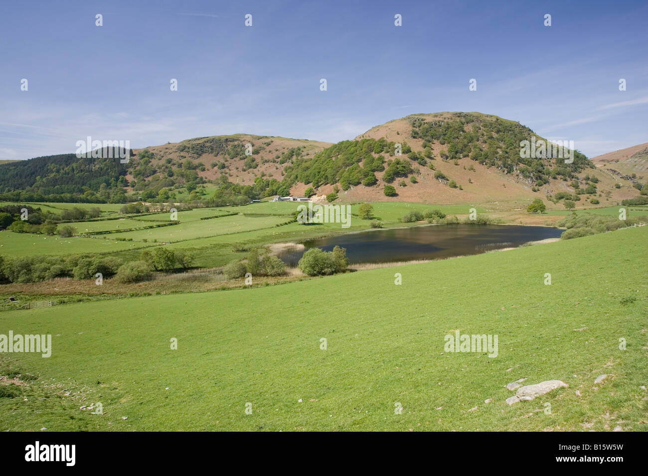 Welsh hill farm in aperta campagna nei pressi di Rhayader Powys Wales UK Foto Stock