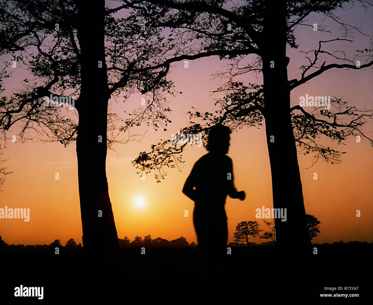 Jogging, il Phoenix Park di Dublino, Irlanda Foto Stock