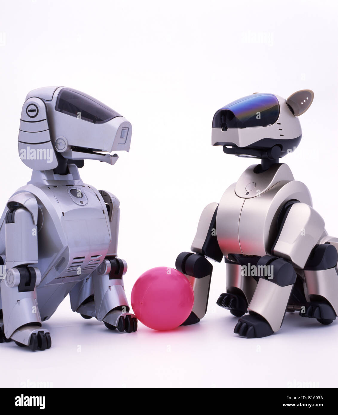 AIBO di intelligenza artificiale roBOt AIBO ERS-110 e ERS-210 Foto Stock