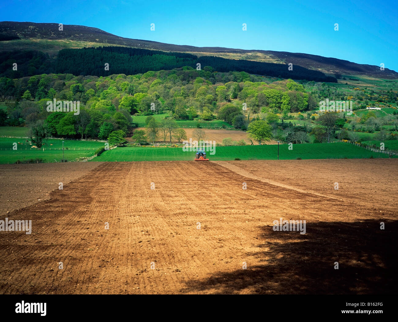 Di seguito il dissodamento Slieve Gullion, CO ARMAGH, Irlanda Foto Stock