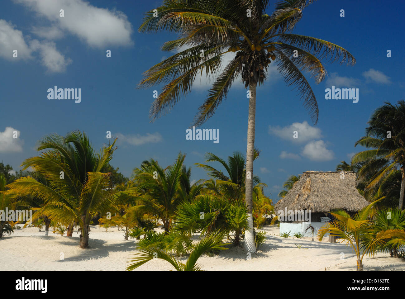 Cabanos sulla spiaggia di Tulum, la penisola dello Yucatan, Messico Foto Stock