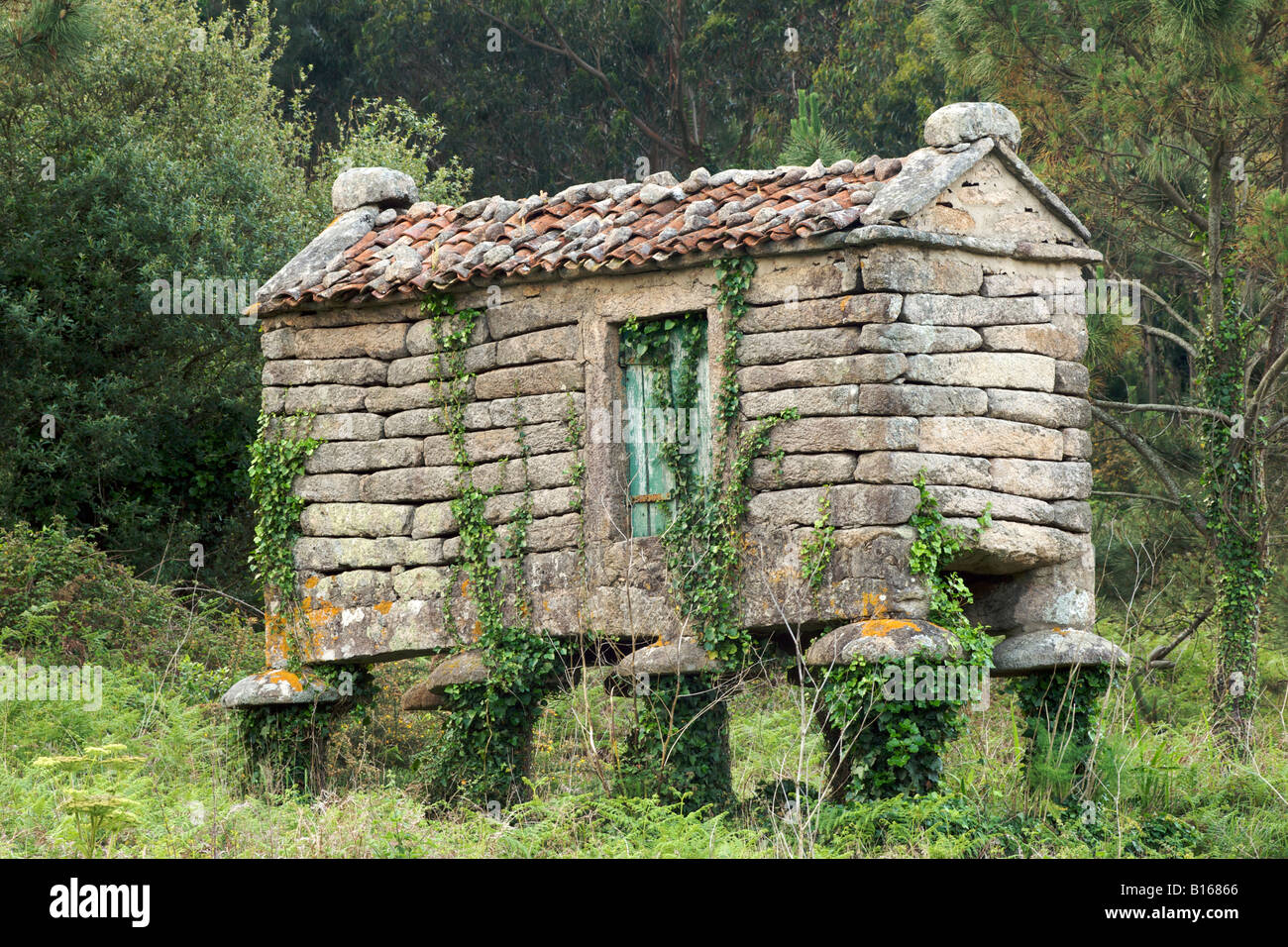 Una pietra horreo, (un negozio tradizionale per il mais) della Galizia, una regione della Spagna nord-occidentale. Foto Stock