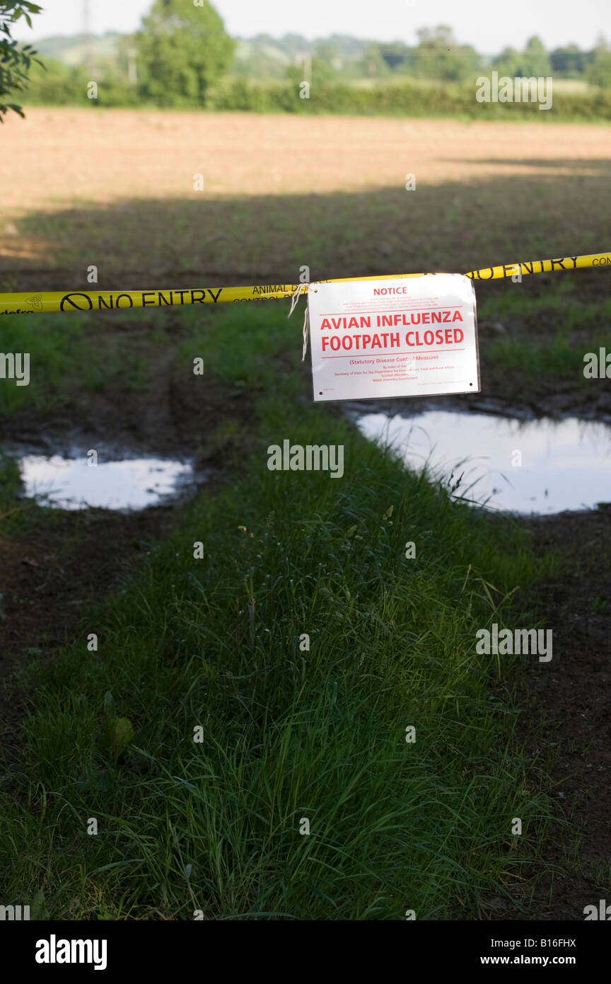 Influenza aviaria influenza aviaria segno attraverso un sentiero pubblico. Shenington, Oxfordshire, Regno Unito Foto Stock Influenza aviaria influenza aviaria segno attraverso un sentiero pubblico. Shenington, Oxfordshire, Regno Unito Foto Stock