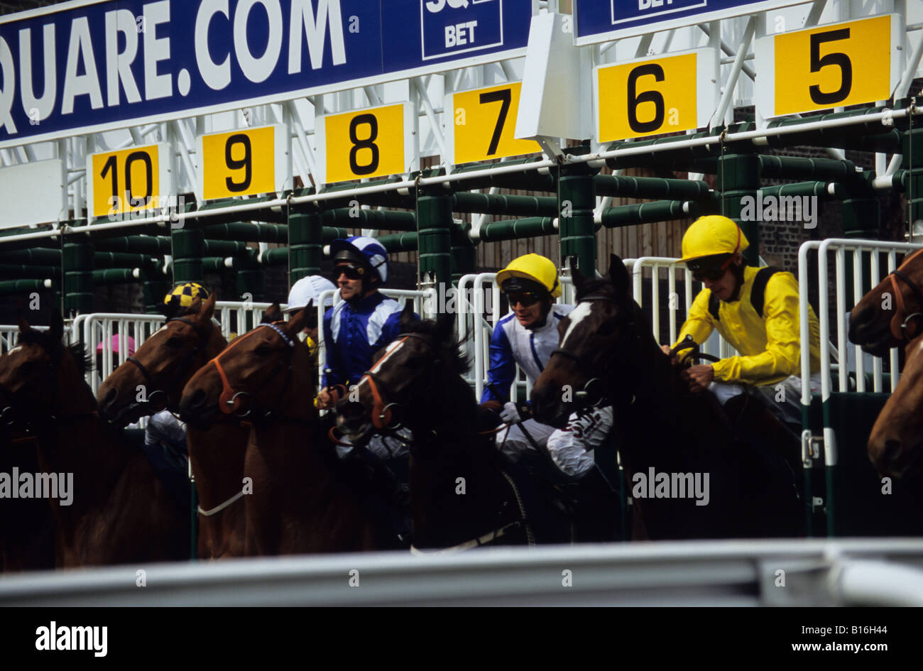 Cavalli emergenti dalle bancarelle all'inizio di una gara a Chester Racecourse Foto Stock