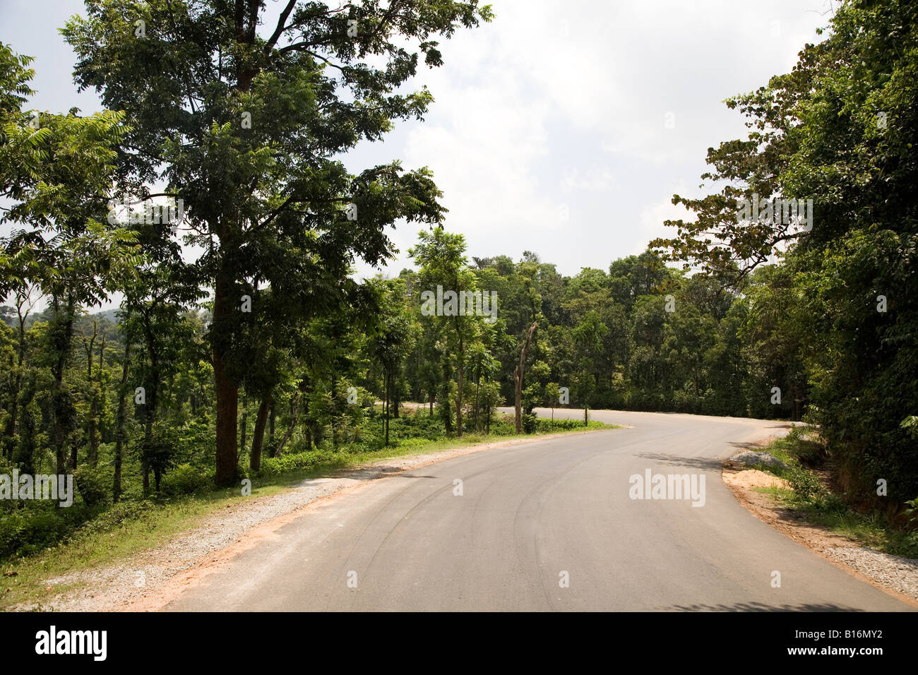Una delle curve ad S sul Bangalore-Mangalore autostrada nazionale. La forestazione del Western Ghats linee la strada. Foto Stock