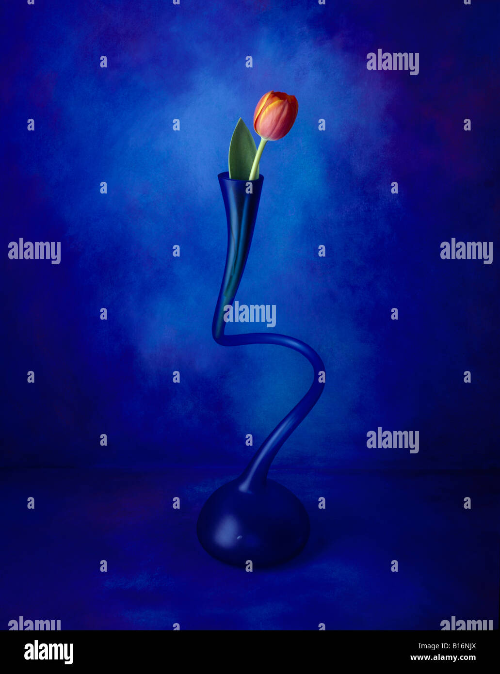 5 di una serie di ritratti a colori formato foto questo è un fiore rosso in un vaso su una mano blu dipinta sullo sfondo di tela Foto Stock