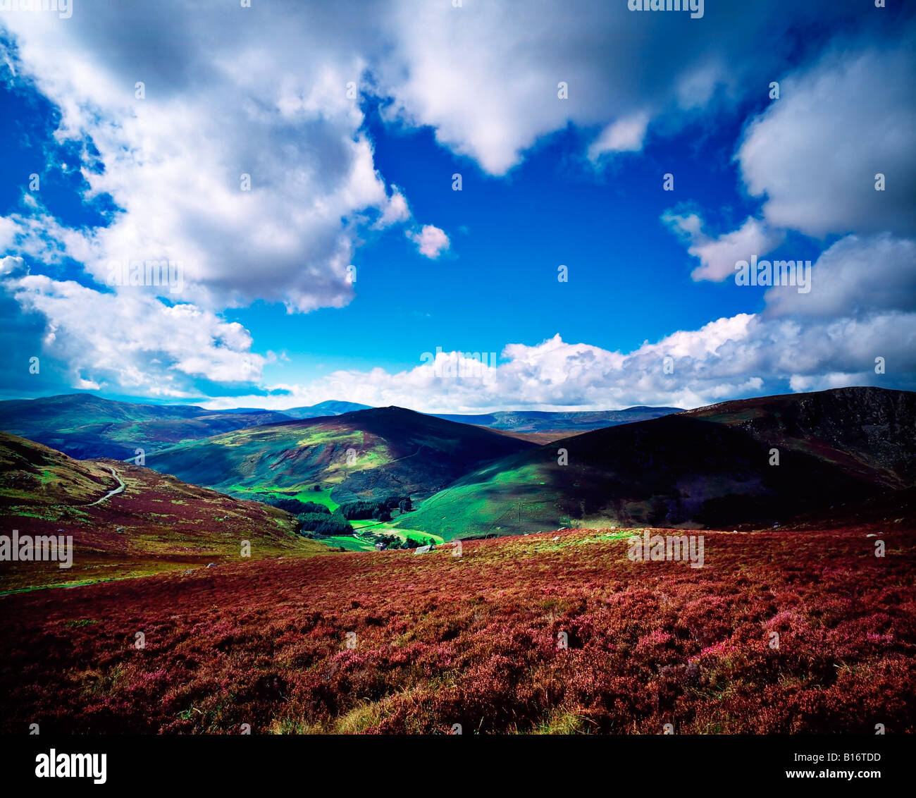 Wicklow Mountains, County Wicklow, Irlanda, vicino Luggala Foto Stock