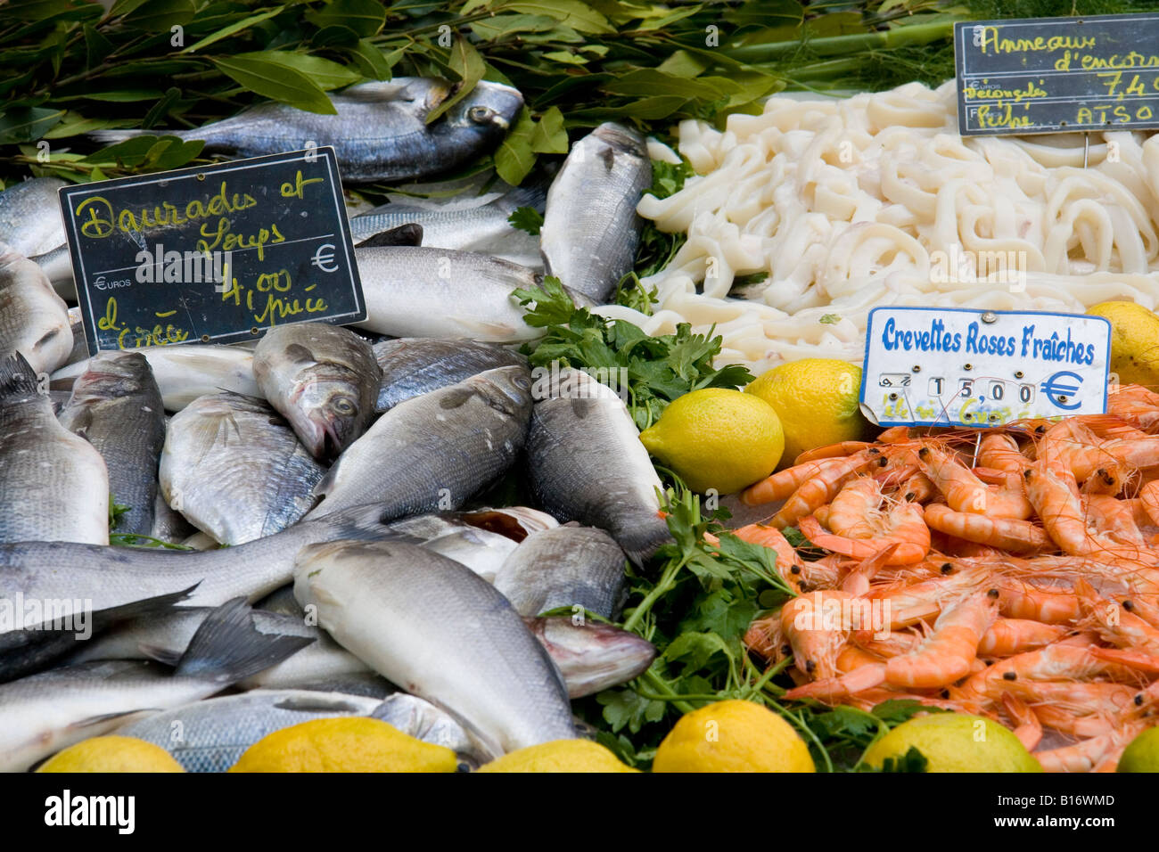 Display sul mercato del pesce in Piazza Richelmi, Aix en Provence, Francia meridionale. Foto Stock
