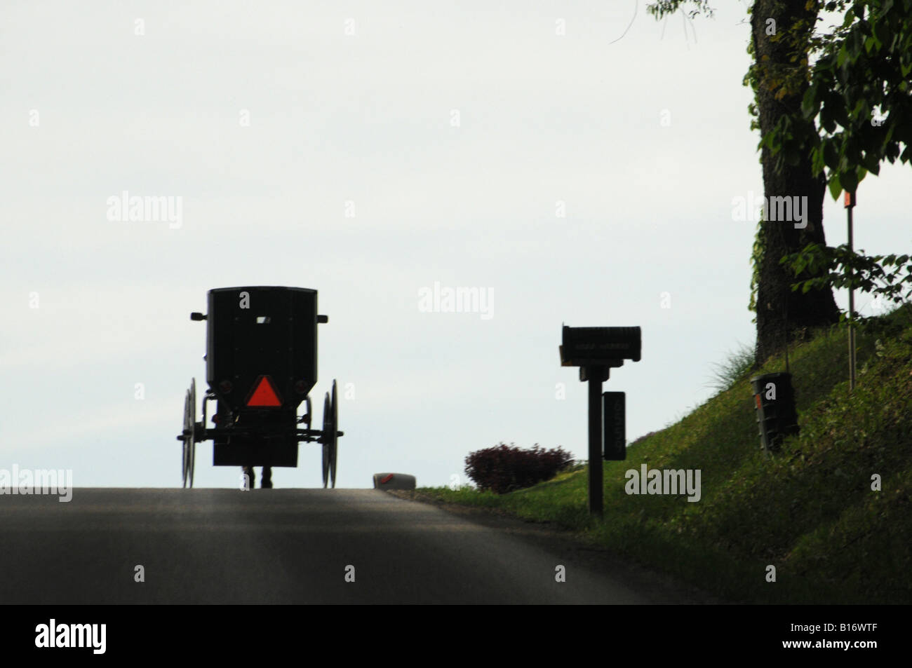 Amish buggy sulla strada di campagna Foto Stock