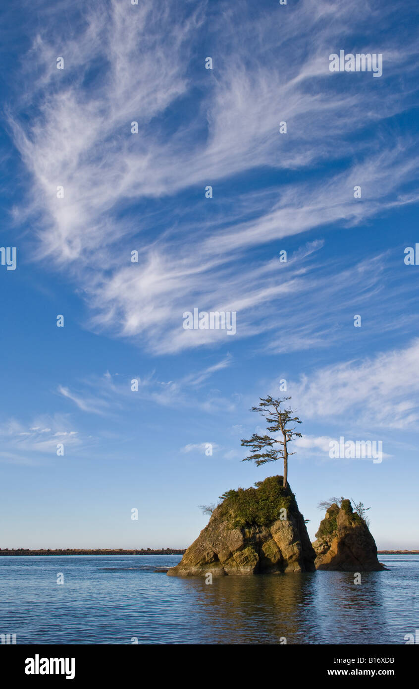 Pile del mare con la parte di albero delle Tre Grazie Tillamook Bay Northern Oregon Coast Foto Stock