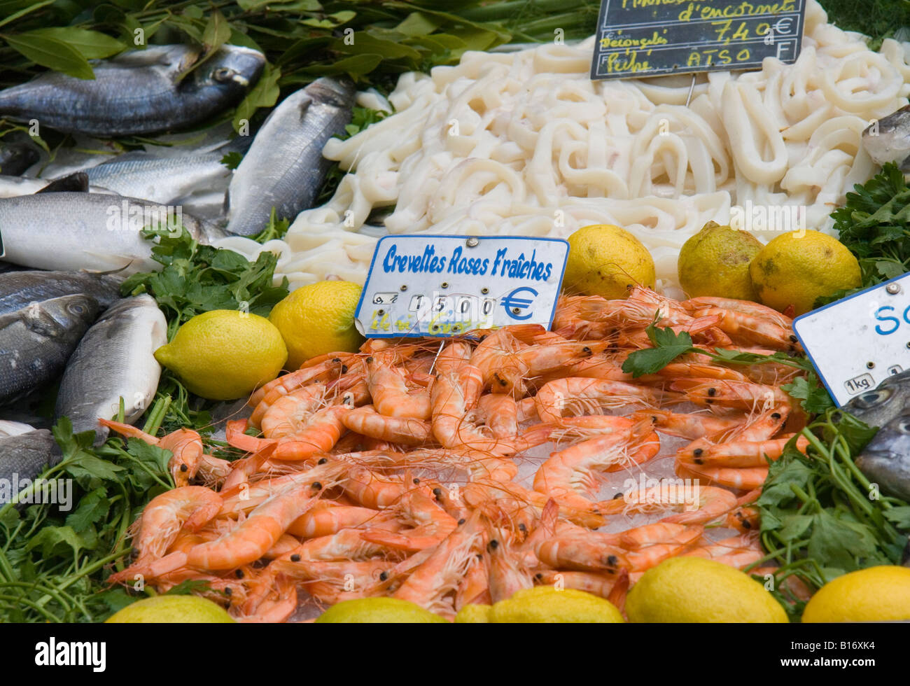 Display sul mercato del pesce in Piazza Richelmi, Aix en Provence, Francia meridionale. Foto Stock