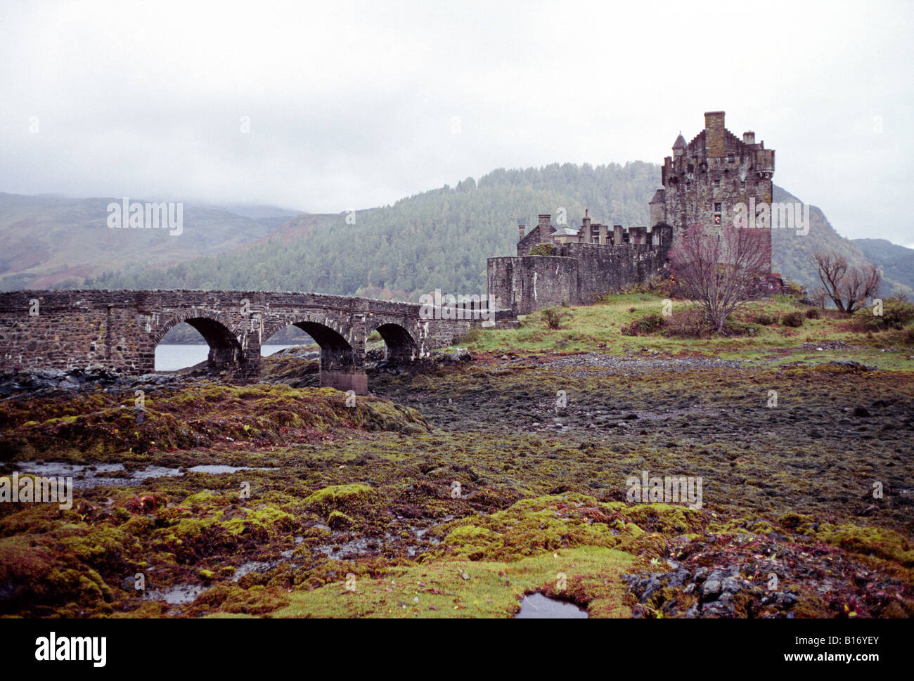 Nelle Highlands scozzesi il Eileen Donan Castle vicino a Kyle of Lochalsh Scozia Scotland Foto Stock