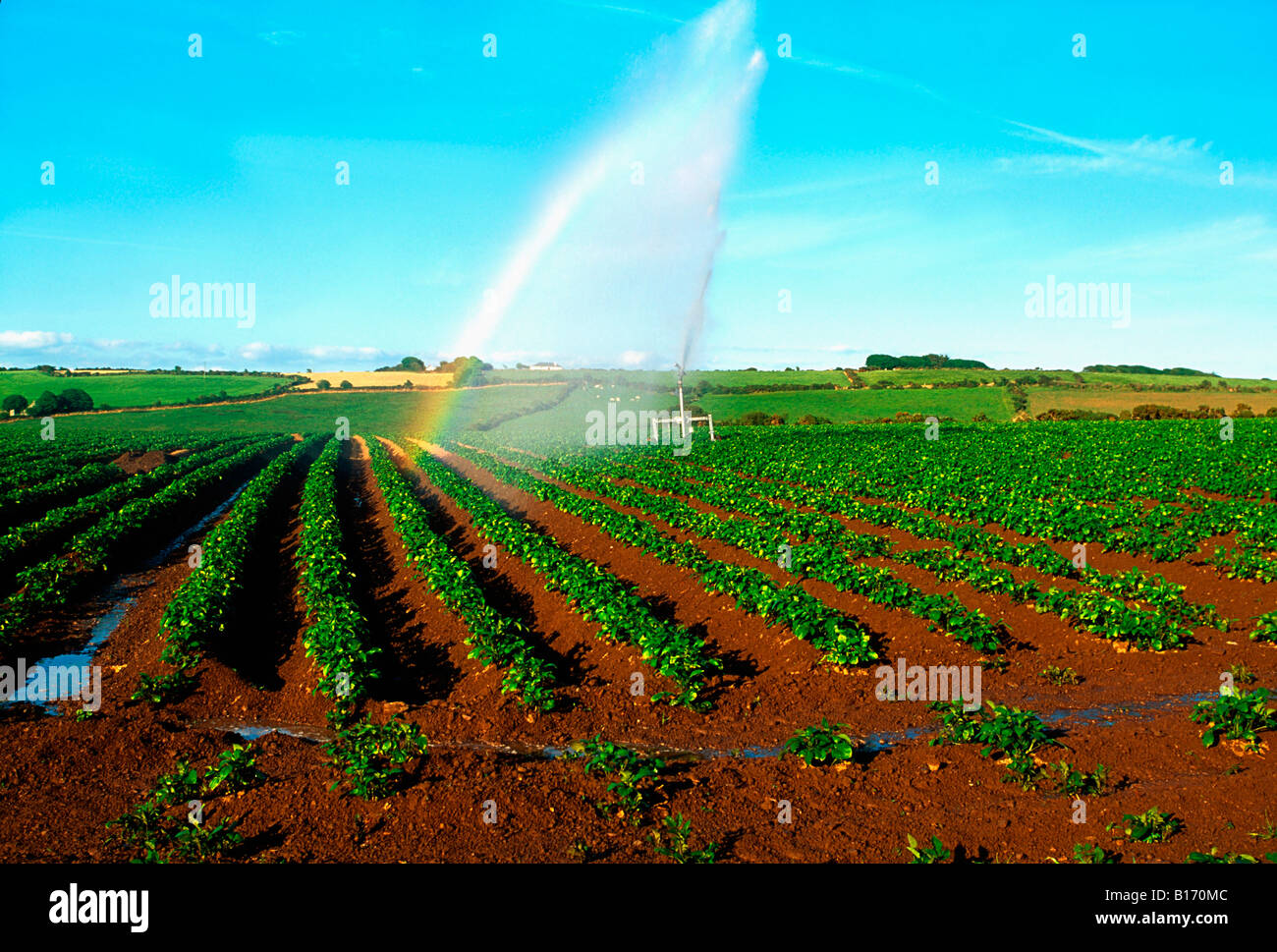 L'irrigazione agricola, nella contea di Waterford, Irlanda Foto Stock