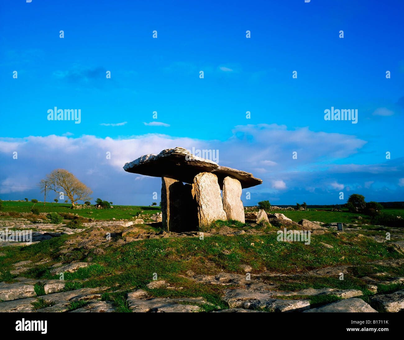 Poulnabrone dolmen, Burren, Co Clare, Irlanda Foto Stock