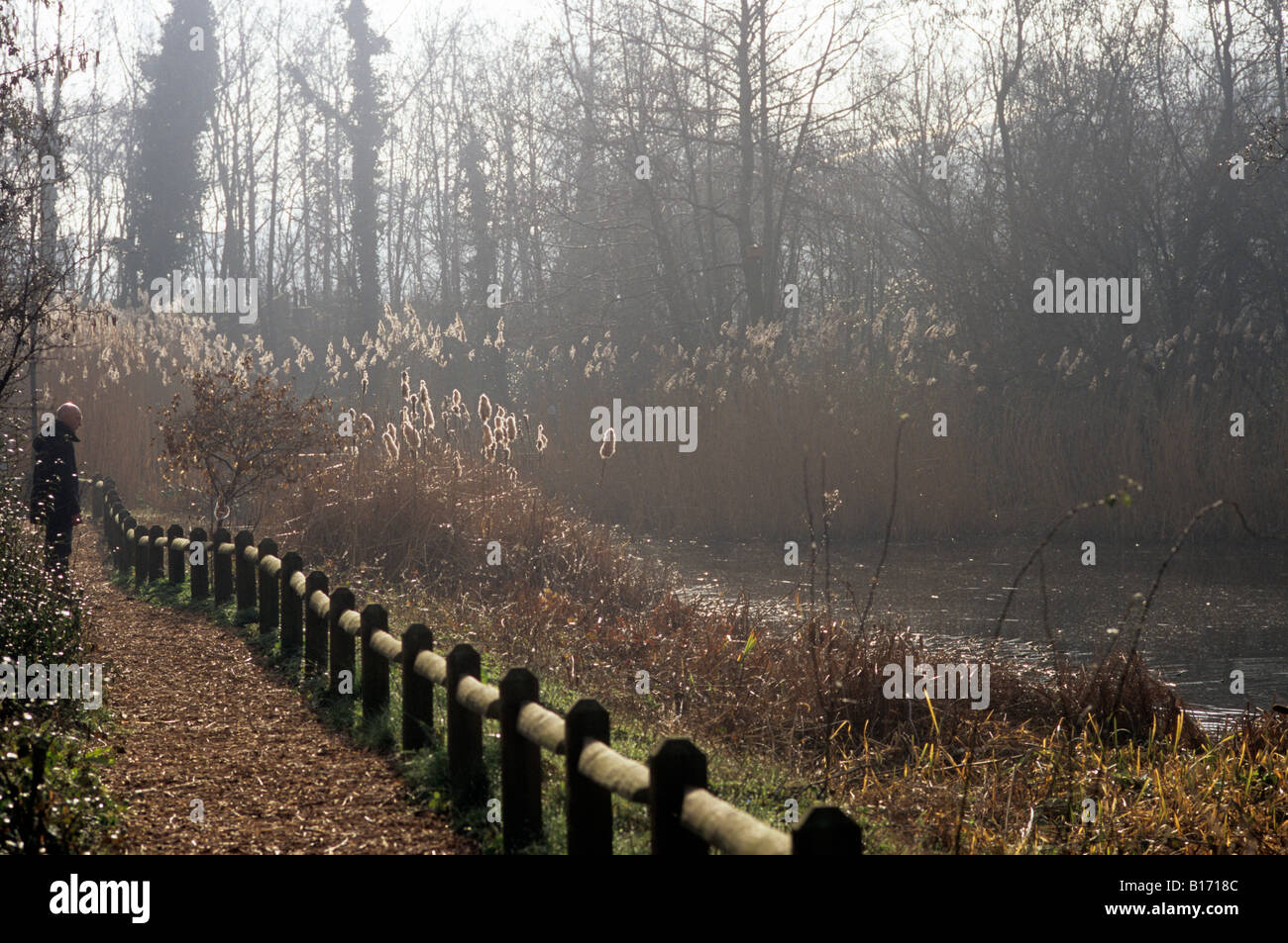 Inverno a Camley Street parco naturale, Kings Cross Londra Foto Stock
