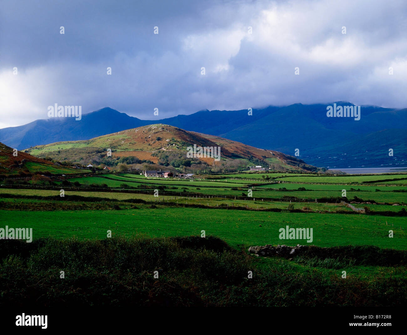 Farmscape nei pressi del Monte Brandon, penisola di Dingle, Co. Kerry, Irlanda Foto Stock