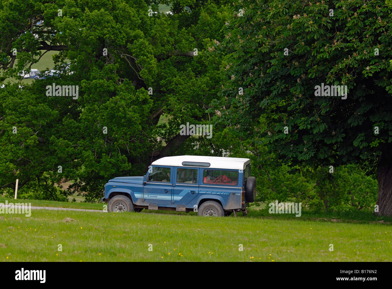 Blue 1985 mio Land Rover 110 V8 all'ALRC National 2008. Foto Stock