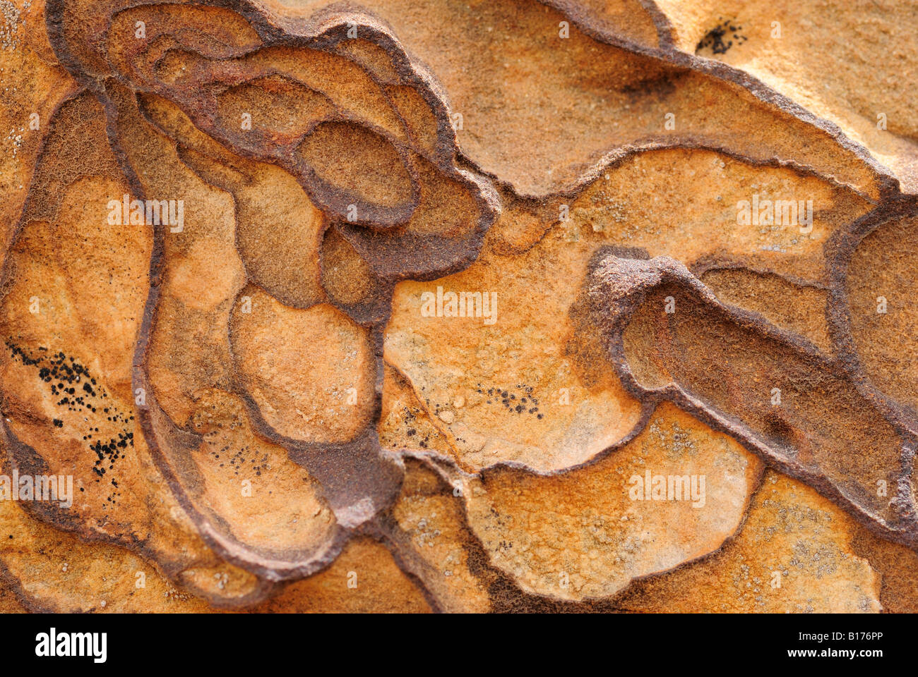 Abstract parete di arenaria in dettaglio Capitol Reef National Park nello Utah Stati Uniti d'America Foto Stock