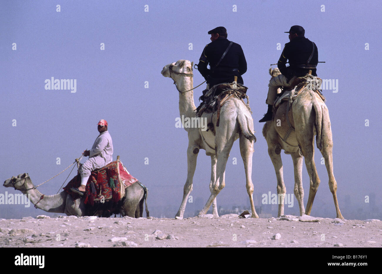 La polizia sui cammelli vicino le piramidi di Giza. Il Cairo, Egitto. Foto Stock