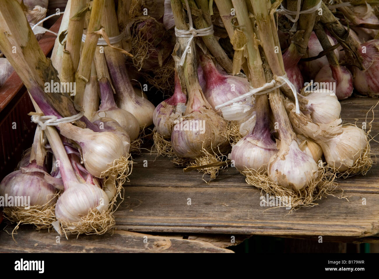 Aglio in mostra presso il mercato ortofrutticolo in Piazza Richelmi, Aix en Provence, Francia meridionale. Foto Stock