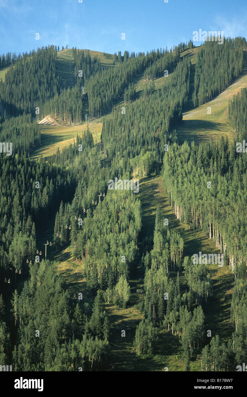 Green piste da sci in agosto a Telluride Colorado USA Foto Stock